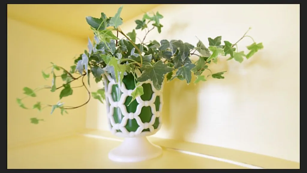Comment arroser ses plantes d'intérieur : guide