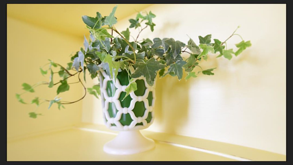 Plantes d'intérieur pour chambre : sélection et conseils