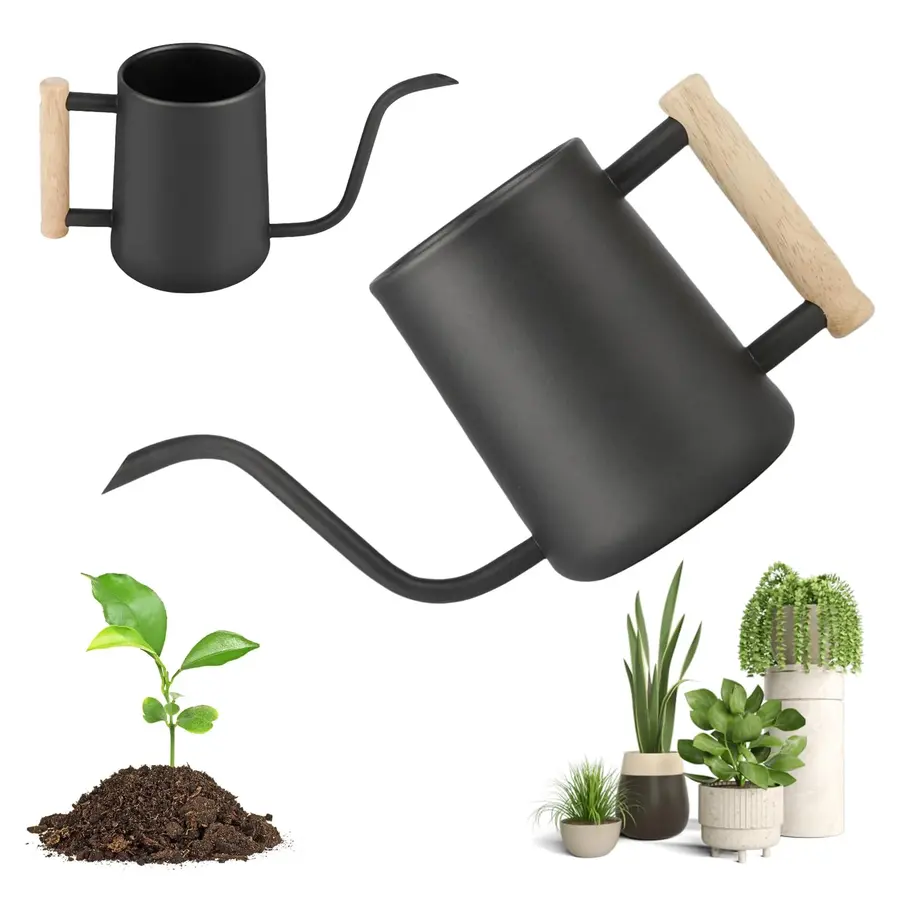 Arrosoir d'Intérieur 1 L/35 oz en Acier Inoxydable avec Poignée en…