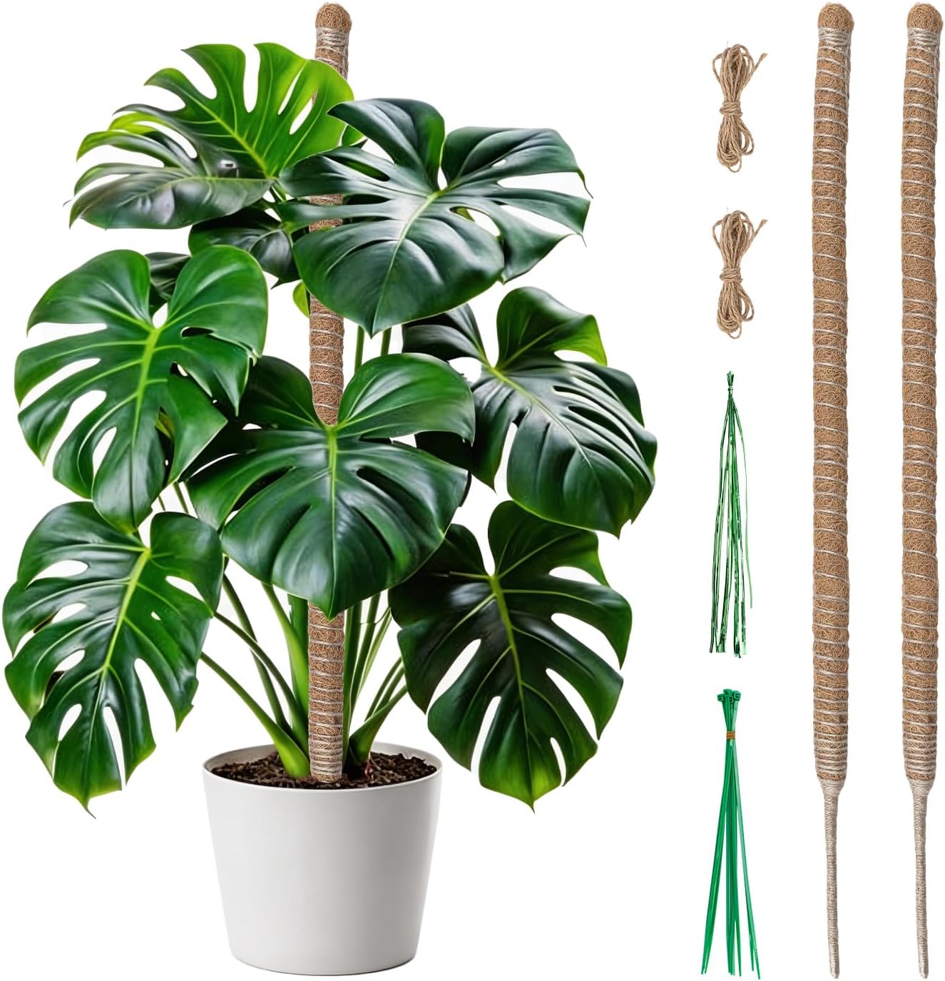 2 Pièces Tuteur Plante Grimpante Coco 60cm