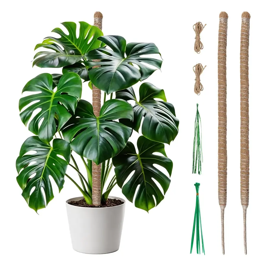 2 Pièces Tuteur Plante Grimpante Coco 60cm